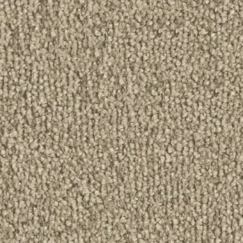 Vorwerk Safira Teppichboden Farbcode 8H72 – Draufsicht ohne Etikett